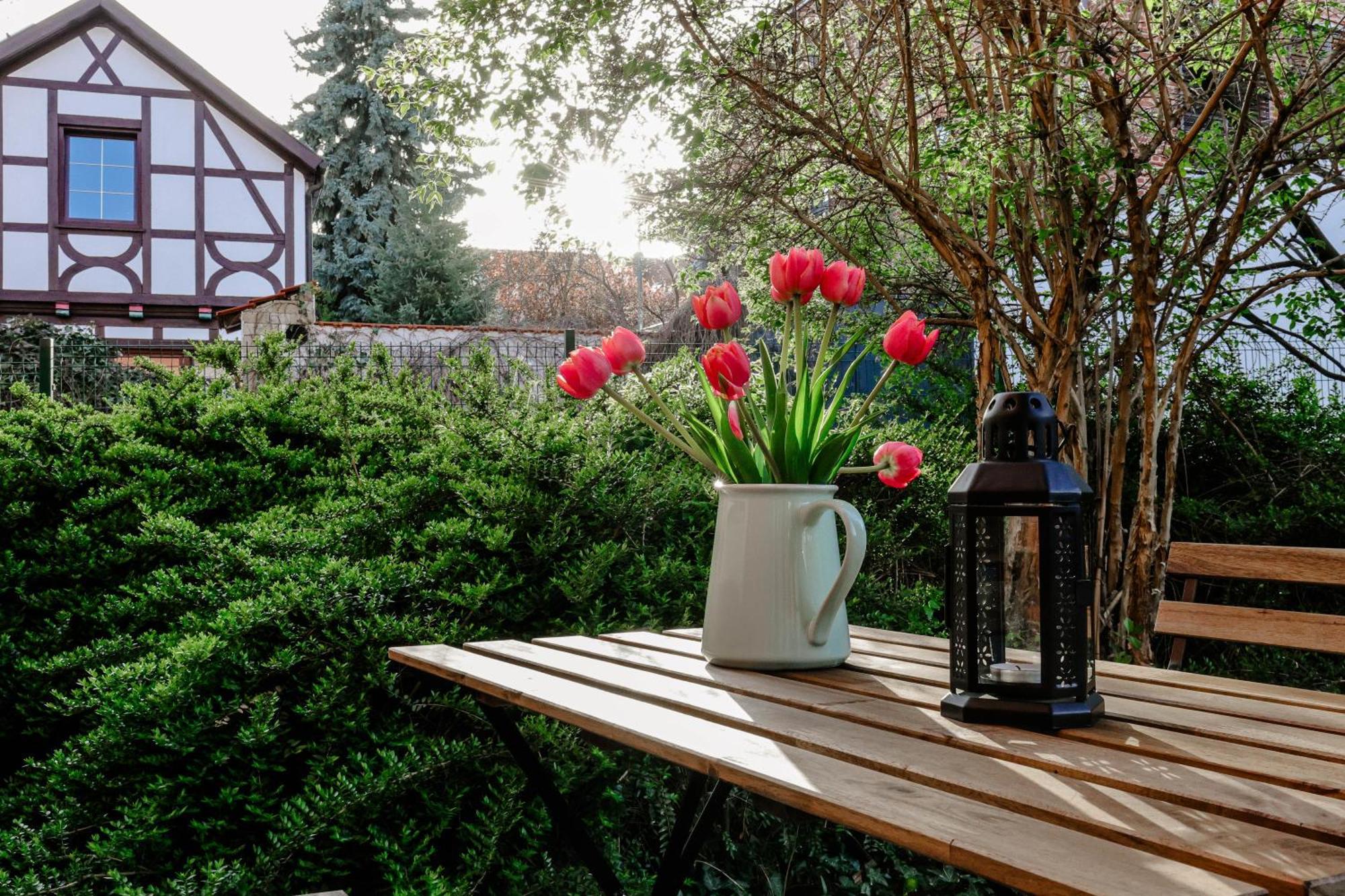 In Der Marbacher Gasse Apartment Erfurt
